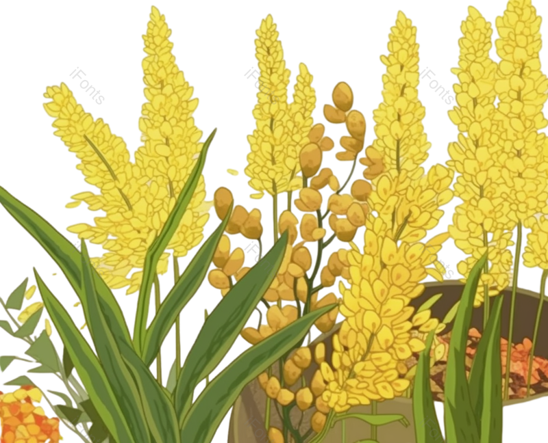 芒种图片,麦子元素,麦穗PNG,免抠素材